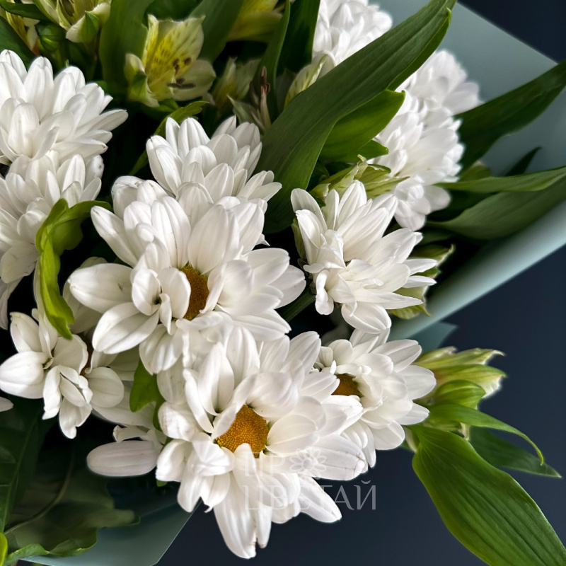 Букет с альстромерией и хризантемой «Лагуна» 1