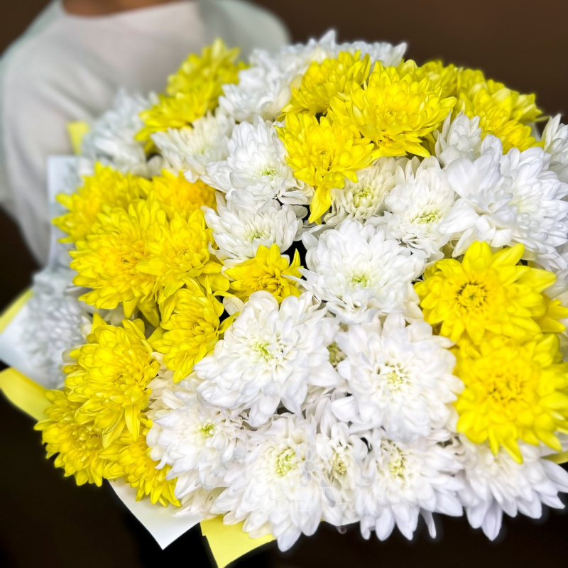 Букет из хризантем «Мелодия»