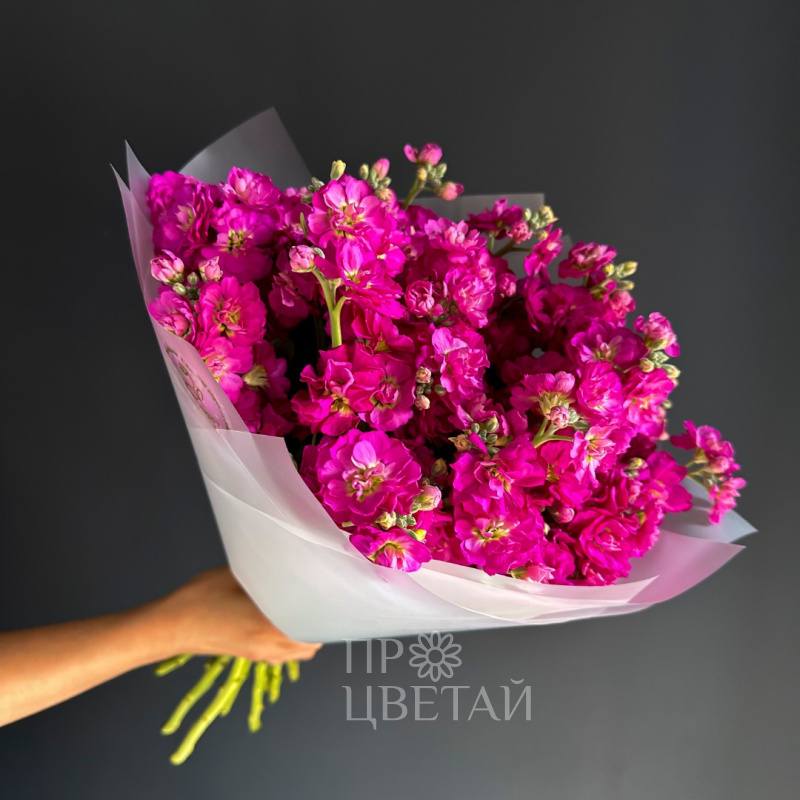 Монобукет из маттиолы «Утренний привет»