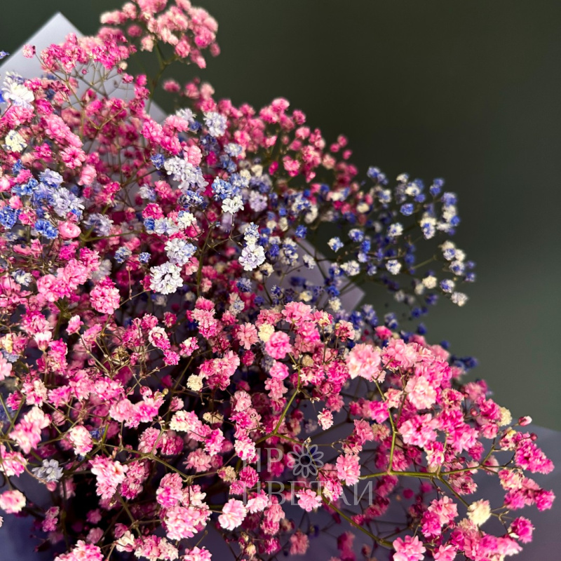 Монобукет из гипсофилы «Презент» 1