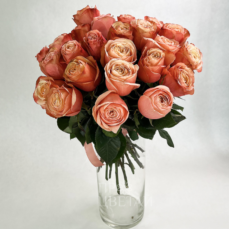 Букет из роз 25шт «Пандора»