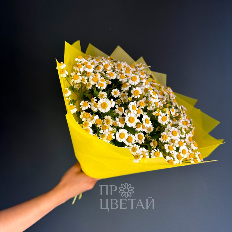 Монобукет из ромашек «Солнышко»