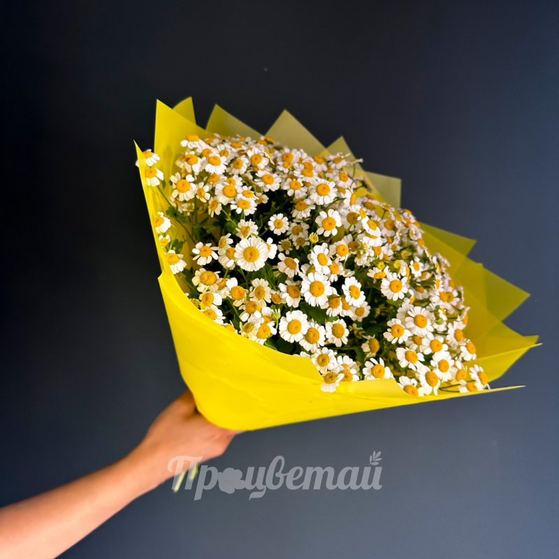 Букет из ромашек