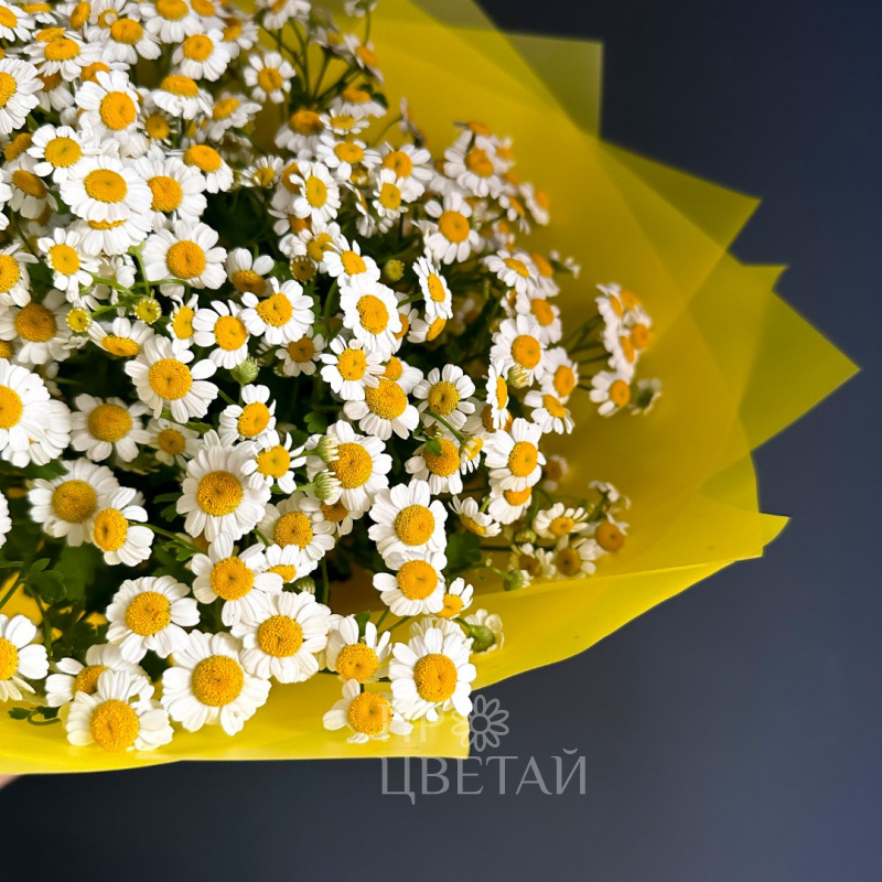 Монобукет из ромашек «Солнышко» 1