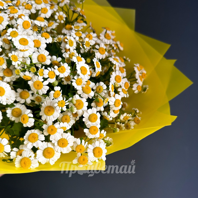 Букет из ромашек 1