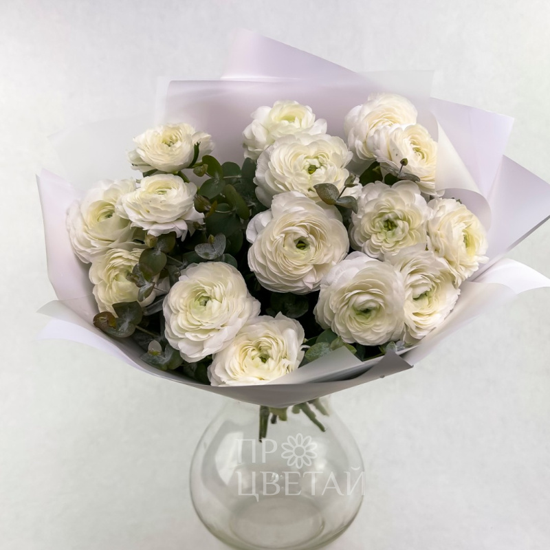 Белые ранункулюсы 15шт «Баунти»