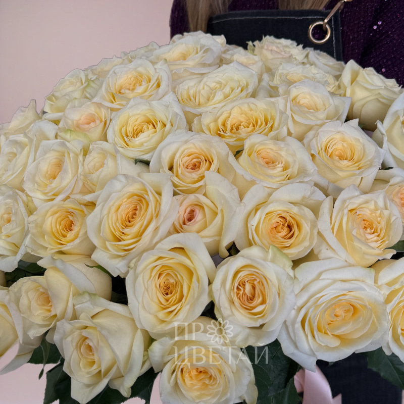 Пионовидная роза 51шт «Любовь» 1