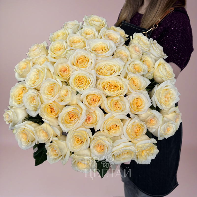 Пионовидная роза 51шт «Любовь»