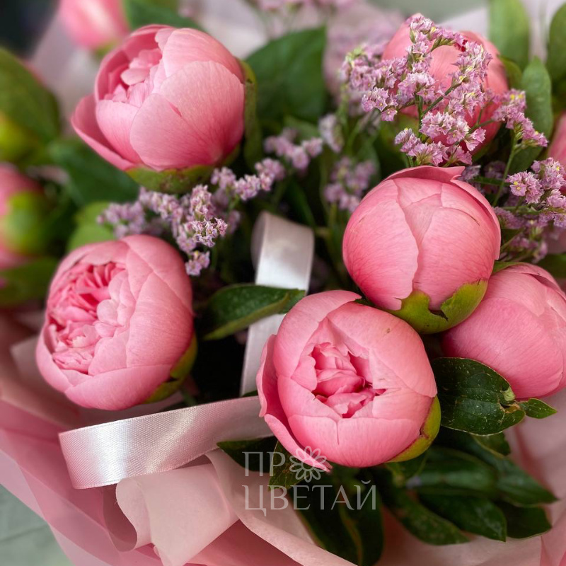 Монобукет Пионовые мечты 1