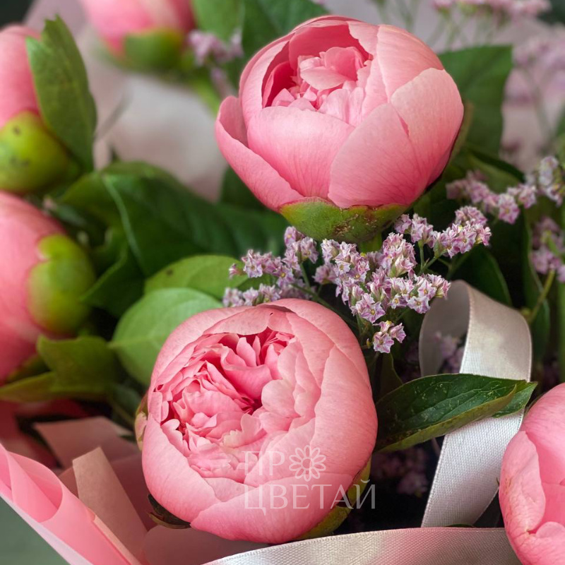 Монобукет Пионовые мечты 2