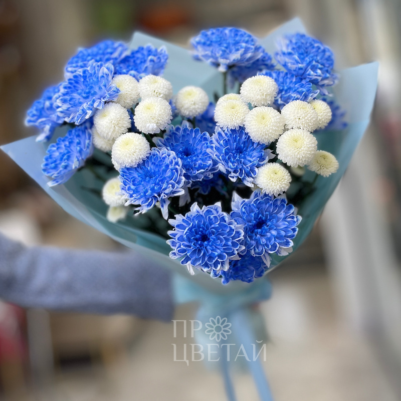 Сборный букет с голубой хризантемой 