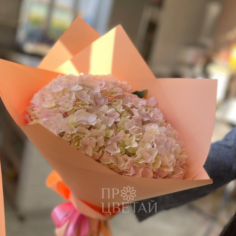 Букет-комплимент с гортензией