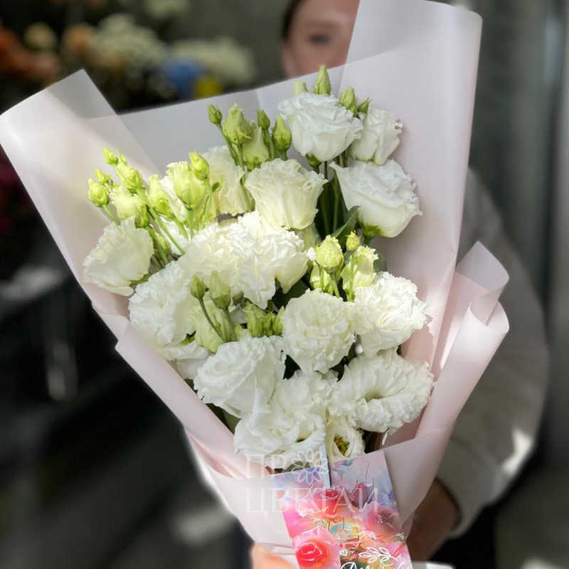 Моно из эустом 1