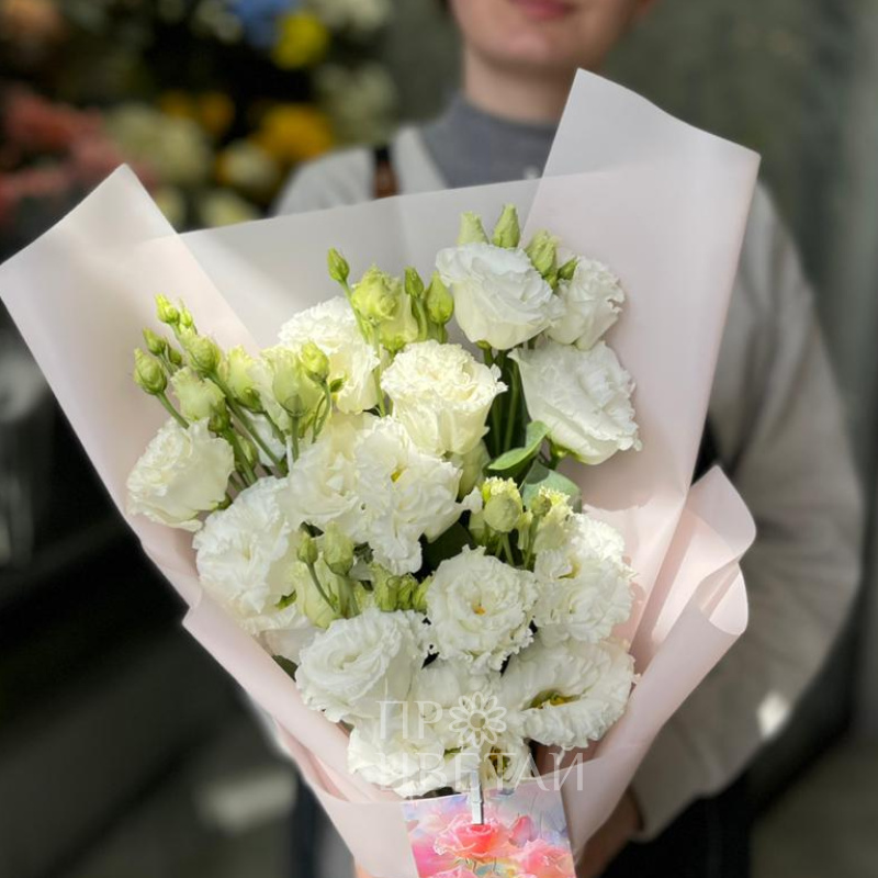 Моно из эустом 2