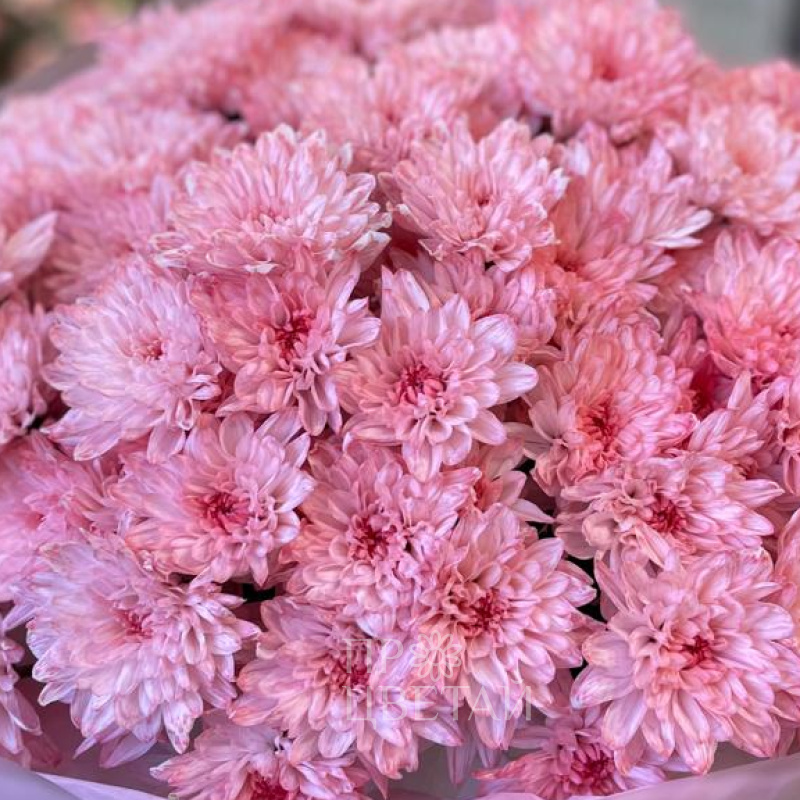 Монобукет  «розовый взрыв» 3