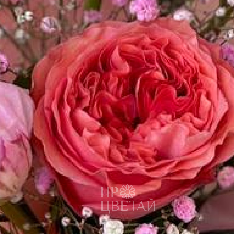  Букет «Пионовидное настроение» 2