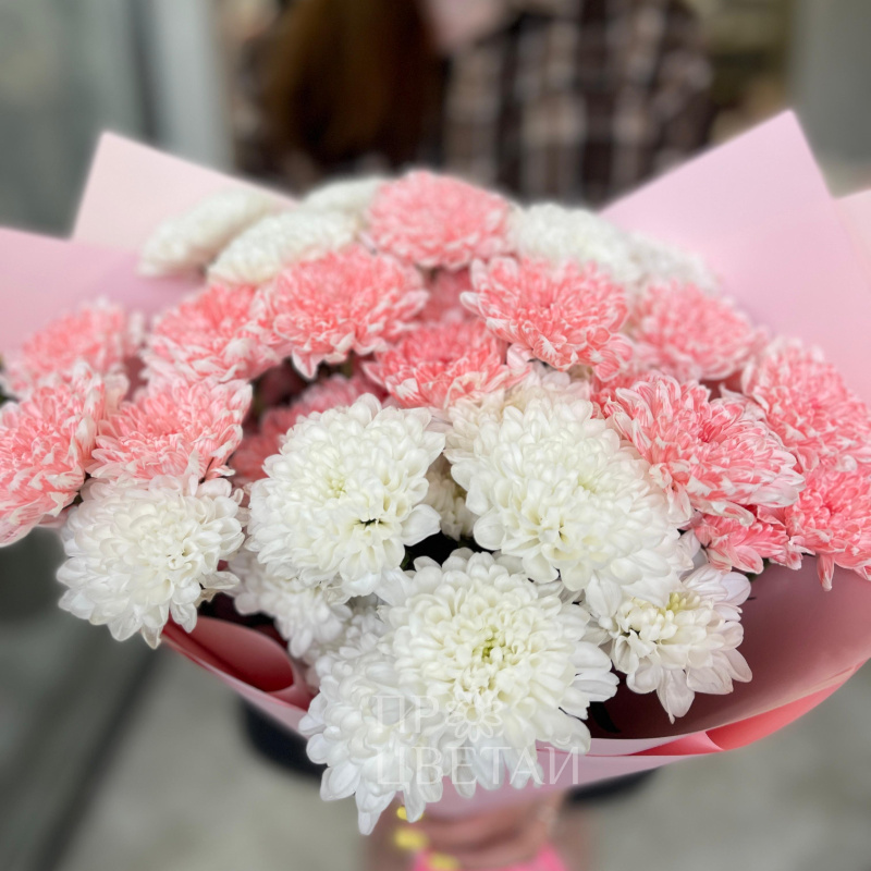 Хит из Хризантем 2