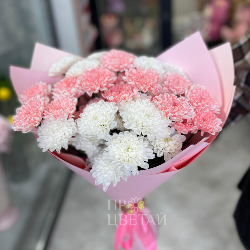 Хит из Хризантем