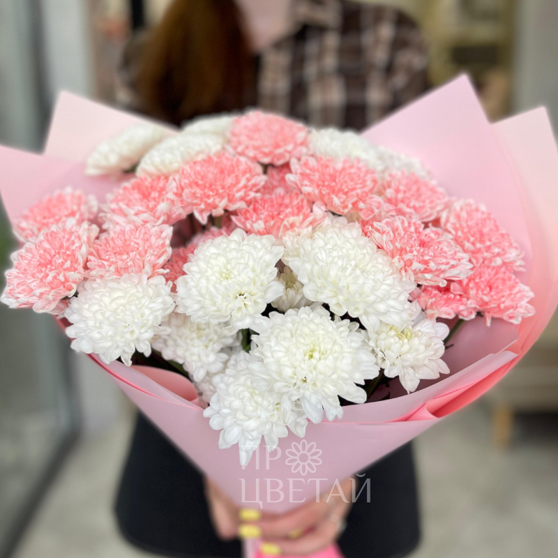 Хит из Хризантем 1