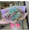 Яркая гипсофила