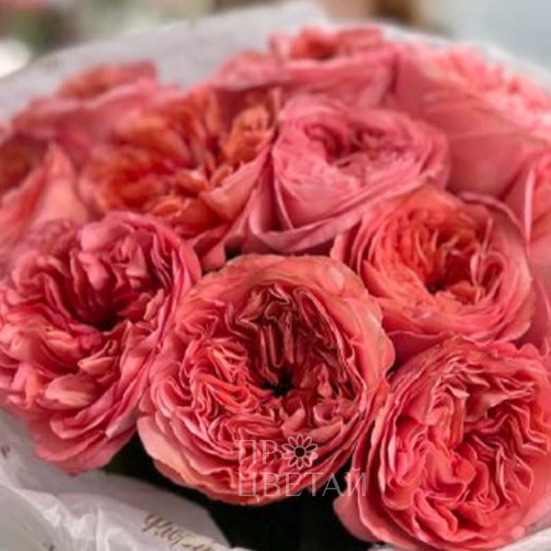 Шикарный букет из пионовидных роз 1