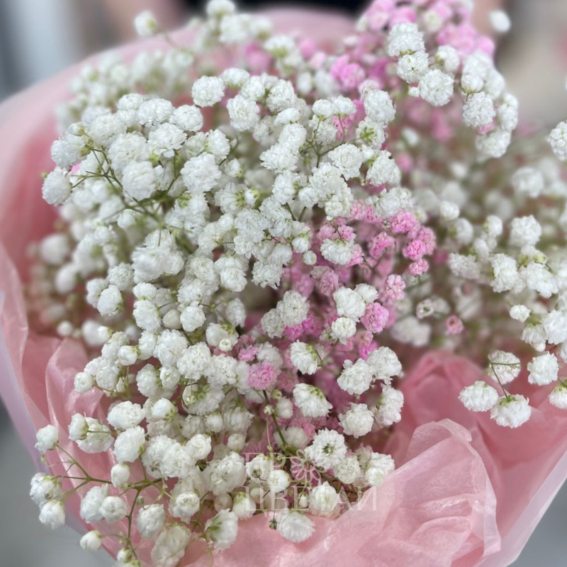 Монобукет из гипсофилы 3