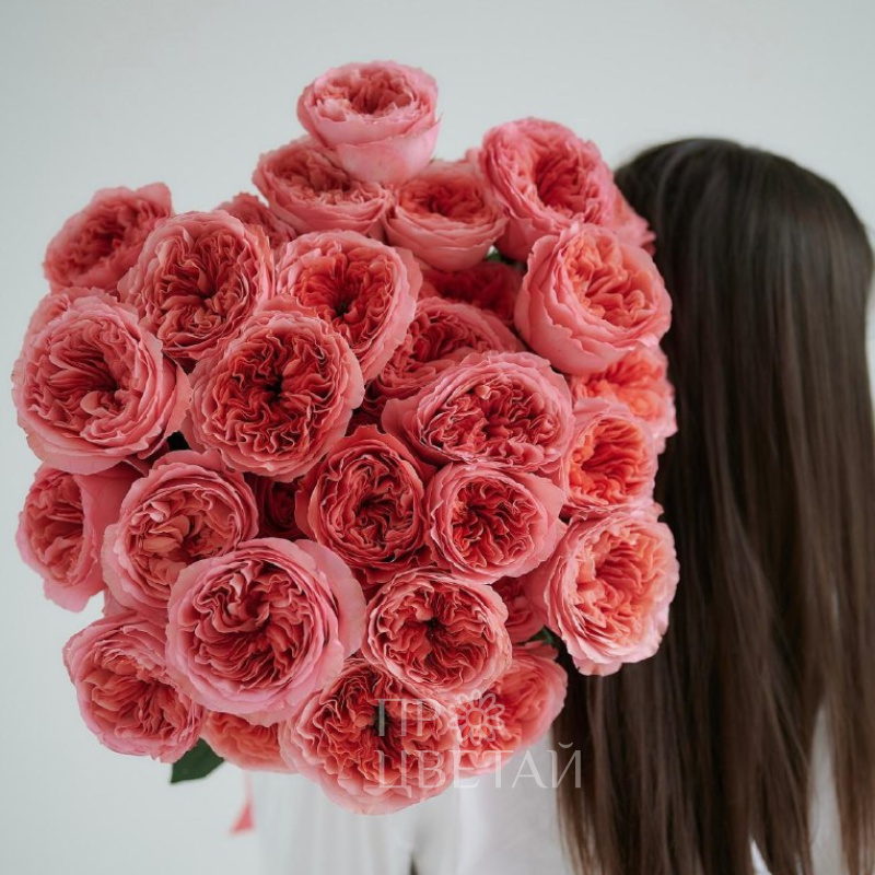 Букет роз «Пионовидный рассвет»