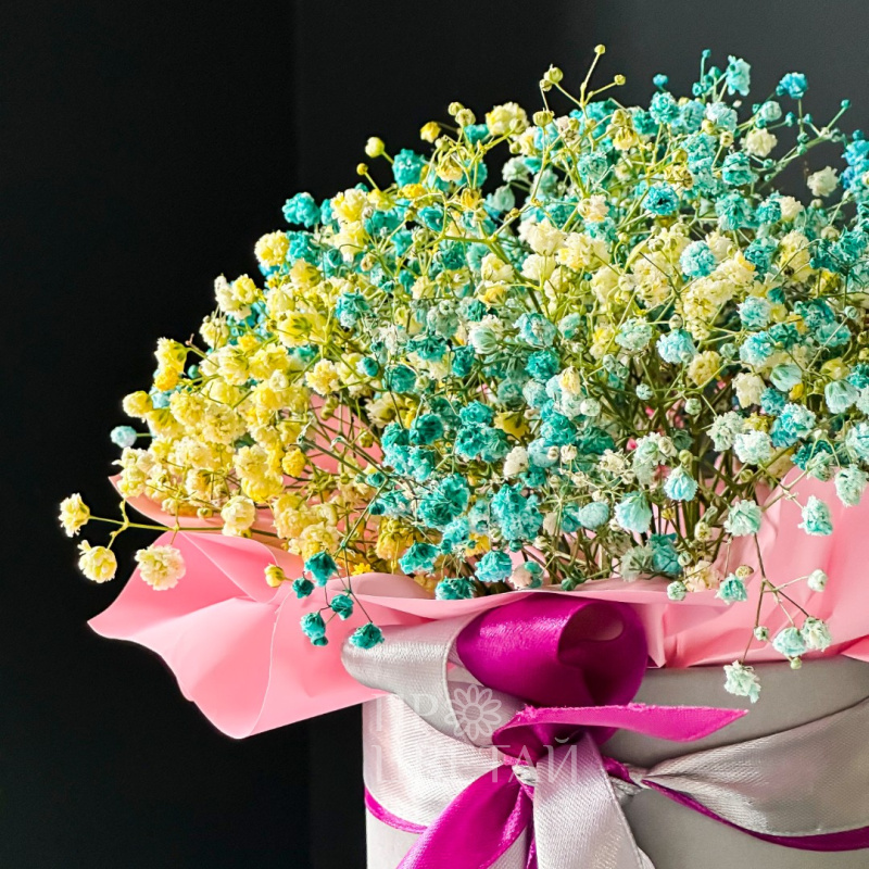 Бокс Париж 1