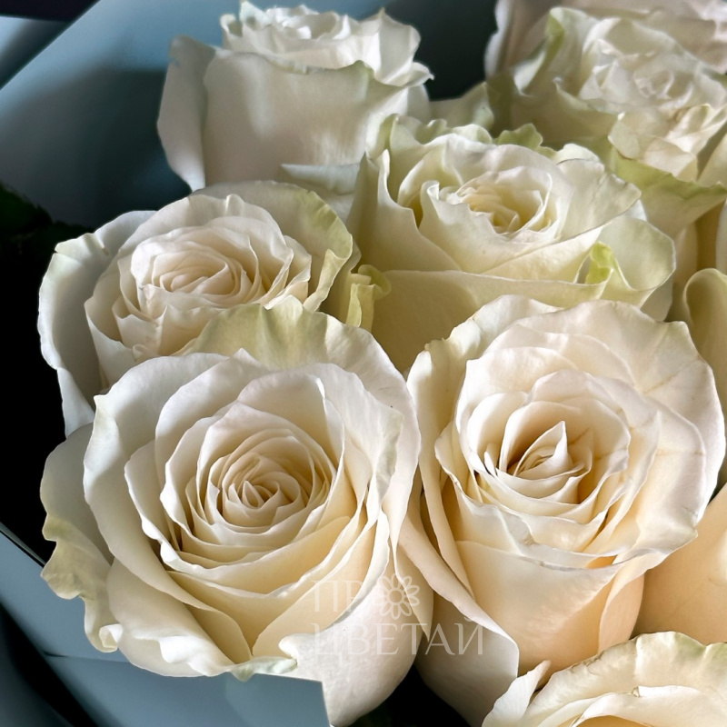 Монобукет из 15 белых роз Классика 1