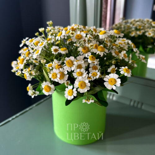 Композиция из ромашек «Июнь»